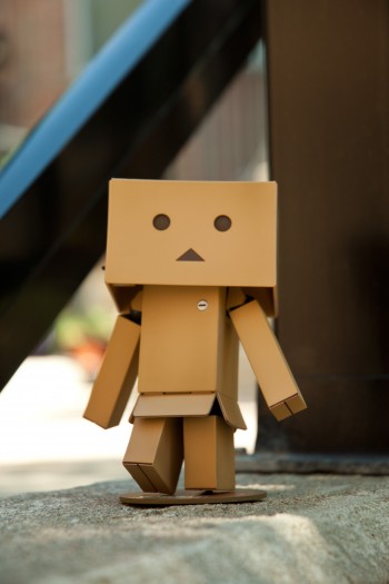 Review: Revoltech Danbo (“Very Well Done” Edition) – Hobby Hovel