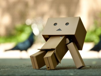 Review: Revoltech Danbo (“Very Well Done” Edition) – Hobby Hovel